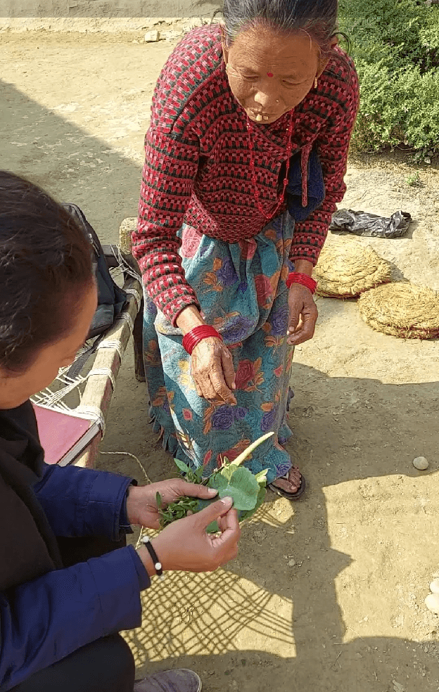 Safeguarding Indigenous Women's Knowledge for Climate Resilience in Nepal - Image 8