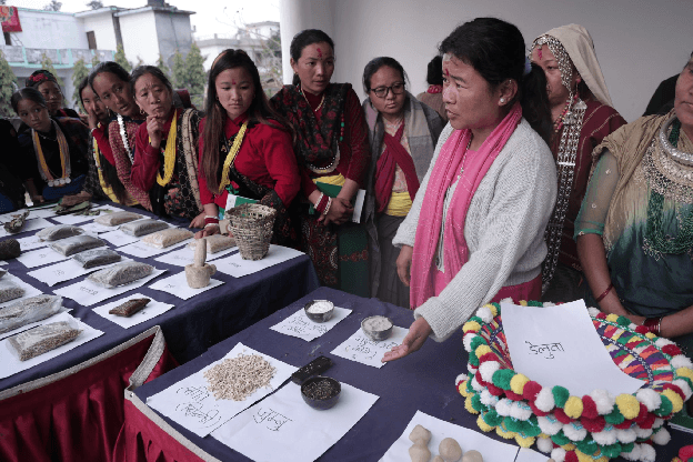Safeguarding Indigenous Women's Knowledge for Climate Resilience in Nepal - Image 10