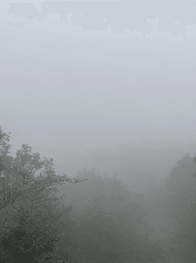 Fog Water Harvesting for Water-Scarce Himalayan Communities - Image 3